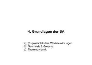 4. Grundlagen der SA