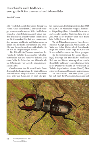 Hirschkäfer und Heldbock – zwei große Käfer