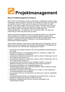 Projektmanagement - New Connection GmbH
