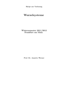 Wurzelsysteme