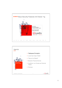 Neue Security Features mit Oracle 11g