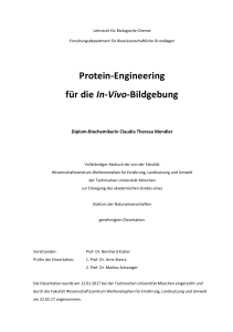 Protein-Engineering für die In-Vivo-Bildgebung