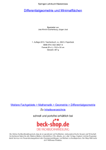 Differentialgeometrie und Minimalflächen - Beck-Shop