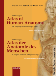 Atlas of Human Anatomy Atlas der Anatomie des