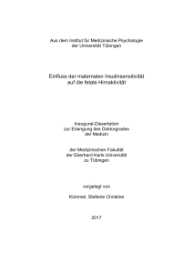 Einfluss der maternalen Insulinsensitivität auf die fetale Hirnaktivität