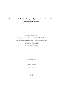 Grammatische Beschreibung des Nyam – eine westtschadische