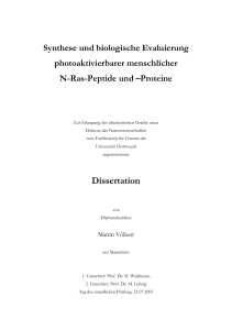 Dissertation - Eldorado Dortmund