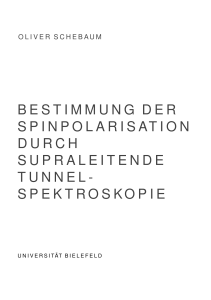 Bestimmung der Spinpolarisation durch supraleitende Tunnel