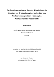 2.3 Die Rezeptortyrosinkinase Met