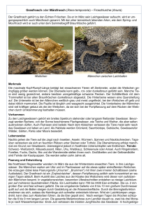 Grasfrosch oder Märzfrosch (Rana temporaria) - Nabu