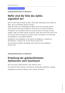 Wofür sind die Teile des Apfels eigentlich da? Einteilung