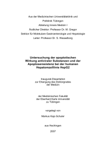 Untersuchung der apoptotischen Wirkung antiviraler Substanzen