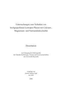 Dissertation - EPub Bayreuth