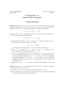 8. ¨Ubungsblatt zur ” Algebraischen Topologie“ Gruppenübungen