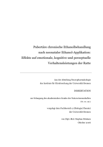 Dissertation Stephan Röskam - E-LIB Bremen
