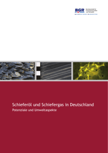 Schieferoel und Schiefergas in Deutschland