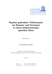 Diplomarbeit Eva Katharina Rafeld - Institut für Theoretische Physik