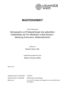 masterarbeit - Universität Wien