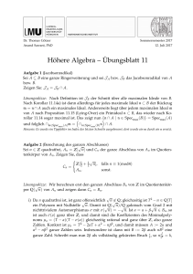 Höhere Algebra – Übungsblatt 11