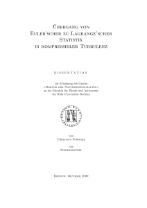 Übergang von Euler`scher zu Lagrange`scher Statistik in