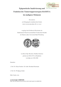 PDF-Format - Martin-Luther-Universität Halle