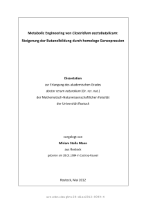 Metabolic Engineering von Clostridium acetobutylicum