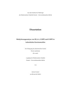 Dissertation - diss.fu