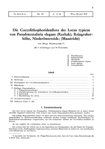 Die Coccolithophoridenflora des Locus typicus von Pseudotextularia