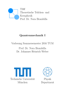 T30f Theoretische Teilchen- und Kernphysik Prof. Dr. Nora