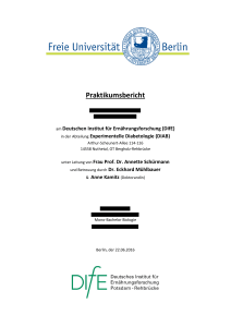 Praktikumsbericht - Freie Universität Berlin