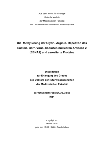 Die Methylierung der Glycin- Arginin- Repetition des Epstein