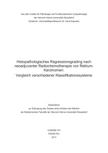 Dissertation_IHRY_finale Fassung_01.03.2017_Druckgenehmigung