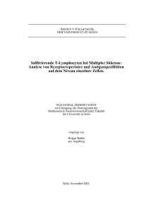 Infiltrierende T-Lymphozyten bei Multipler Sklerose: Analyse von