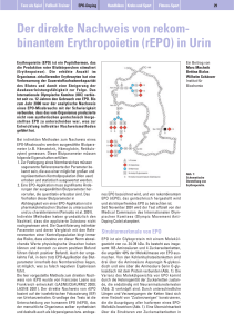 Der direkte Nachweis von rekom- binantem Erythropoietin (rEPO) in