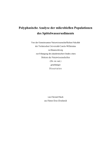Polyphasische Analyse der mikrobiellen Populationen des