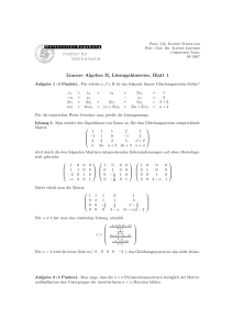 Lineare Algebra II, Lösungshinweise, Blatt 1