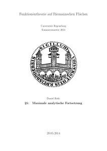 Funktionentheorie auf Riemannschen Flächen