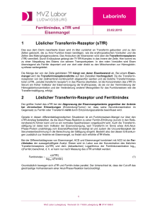 Laborinfo - MVZ Labor Ludwigsburg