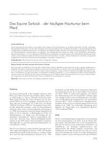 Das Equine Sarkoid – der häufigste Hauttumor