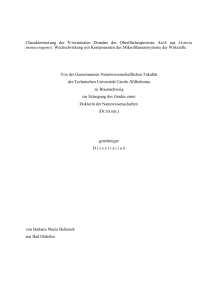 Dissertation Behrendt