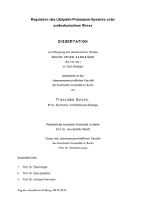 Regulation des Ubiquitin-Proteasom