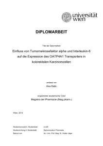 diplomarbeit - Universität Wien