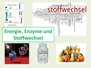 Enzyme - TU Dresden