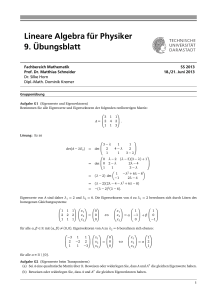 Lineare Algebra für Physiker 9. Übungsblatt