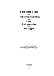 Phänomenologie Transzendenzbezug
