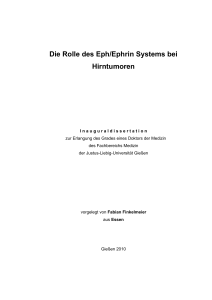 Die Rolle des Eph/Ephrin Systems bei Hirntumoren