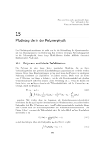 Pfadintegrale in der Polymerphysik