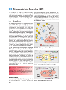 6 Netze der nächsten Generation – NGN