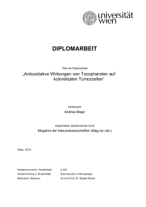 diplomarbeit - E-Theses