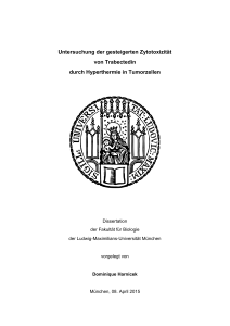 Untersuchung der gesteigerten Zytotoxizität von Trabectedin durch